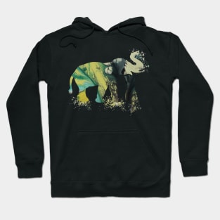 Elephant and child Hoodie